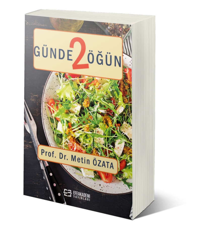 Günde 2 Öğün